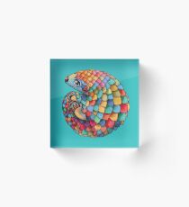 Regenbogen Pangolin Acrylblock