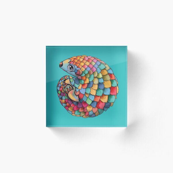 Rainbow Pangolin Acrylic Block