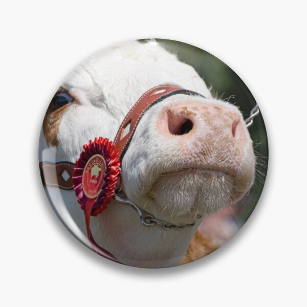 Item preview, Prize Winning Cattle  designed and sold by StephenPower.