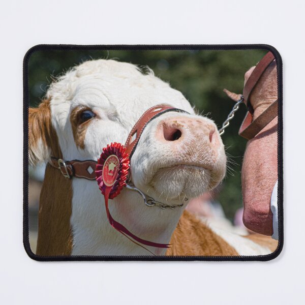 Item preview, Prize Winning Cattle  designed and sold by StephenPower.