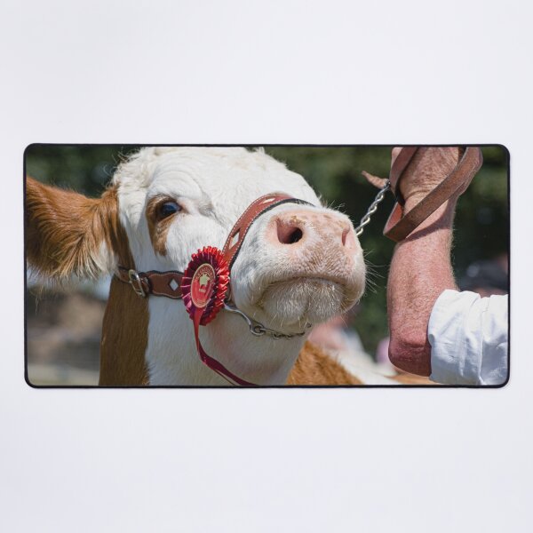 Item preview, Prize Winning Cattle designed and sold by StephenPower.