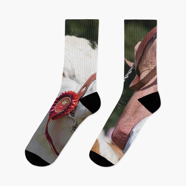 Item preview, Prize Winning Cattle  designed and sold by StephenPower.