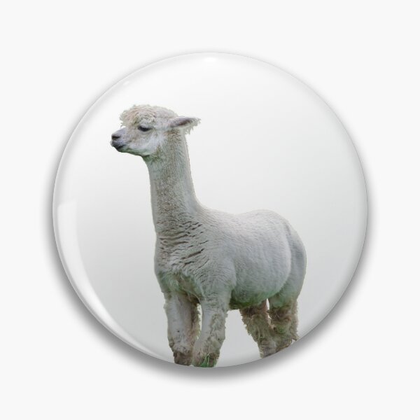 Item preview, Alpaca designed and sold by SitandRelax.