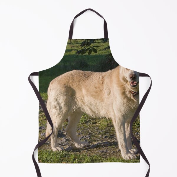 Item preview, Golden German Shepherd designed and sold by StephenPower.