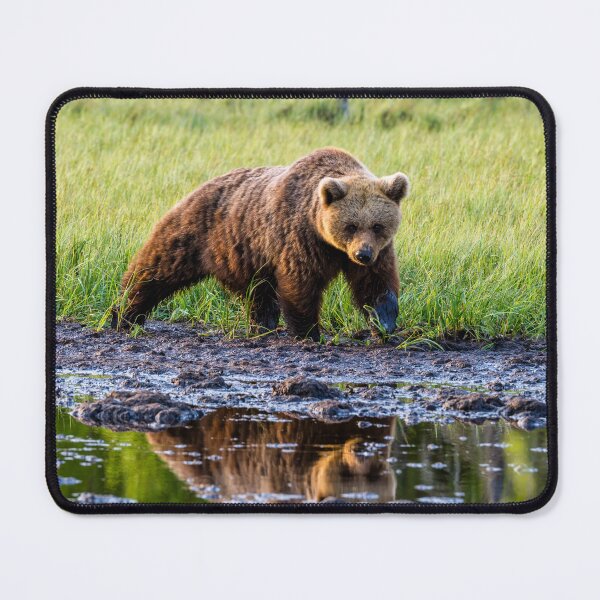 Item preview, Eurasian Brown Bear designed and sold by Jan Fijolek.