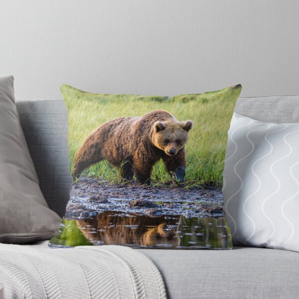 Item preview, Eurasian Brown Bear designed and sold by Jan Fijolek.