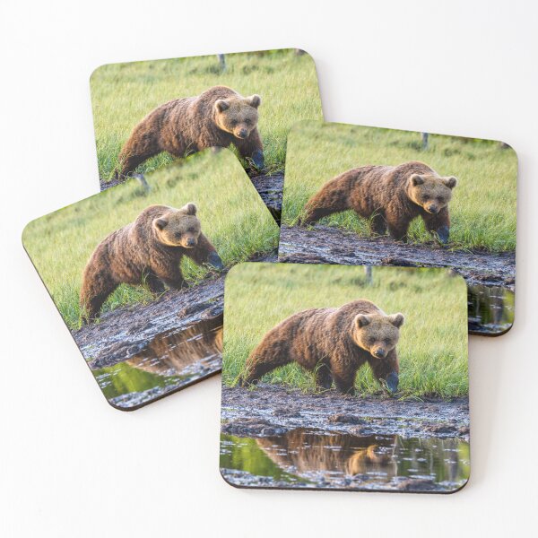 Item preview, Eurasian Brown Bear designed and sold by Jan Fijolek.