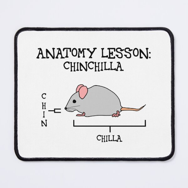 Item preview, Anatomy lesson: Chinchilla [Create a set!] designed and sold by SolidEarthArt.