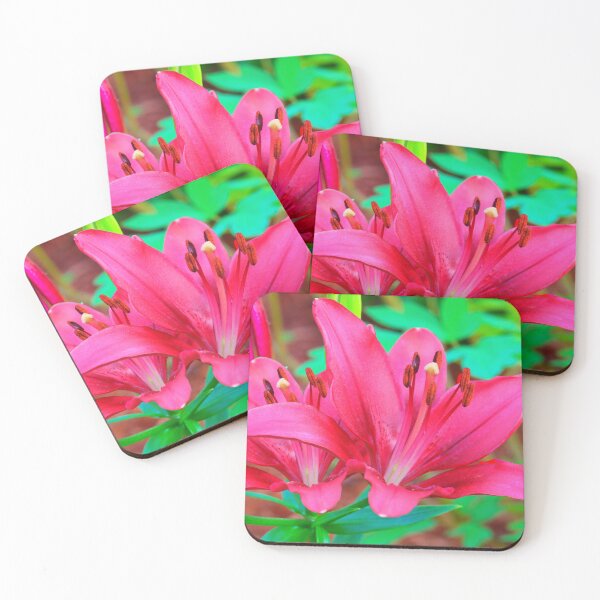 Item preview, Burgundy Day Lily Duo designed and sold by BostonArcImage.