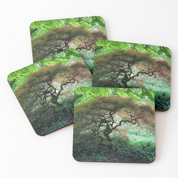 Item preview, Tree of Life designed and sold by Viv Thompson Photography .