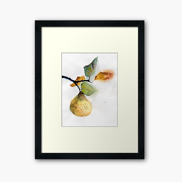 Watercolor illustration of pear Framed Art Print