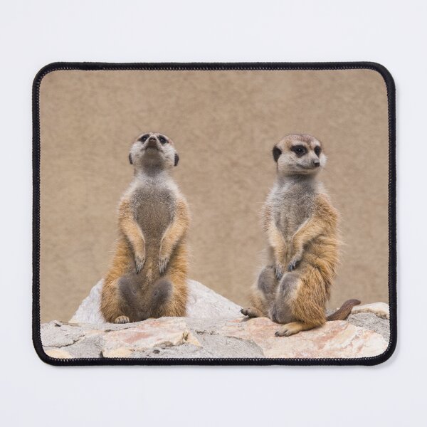 Item preview, Meerkats designed and sold by tonimata.