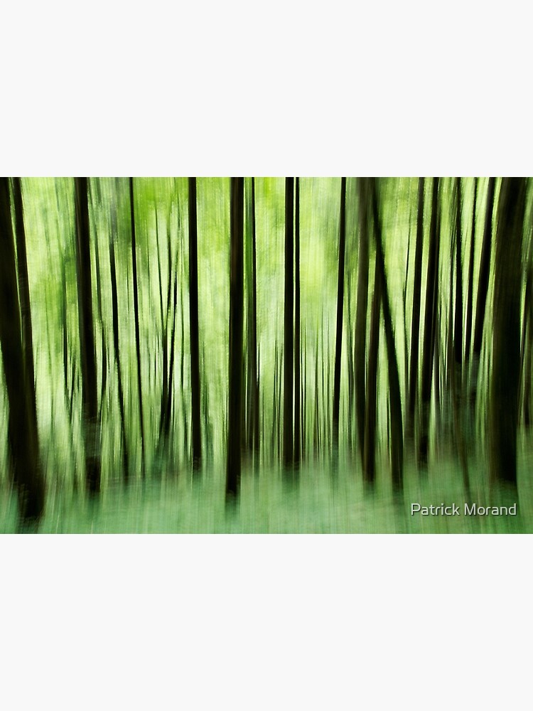 Ghost trees in Valserine forest by patmo