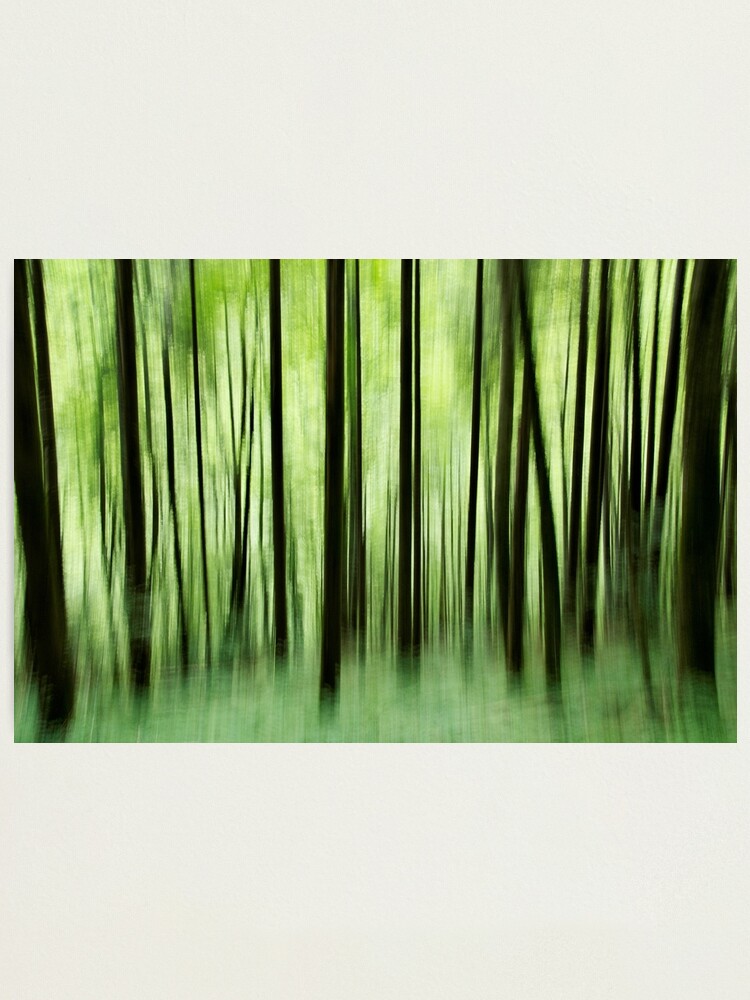 Alternate view of Ghost trees in Valserine forest Photographic Print