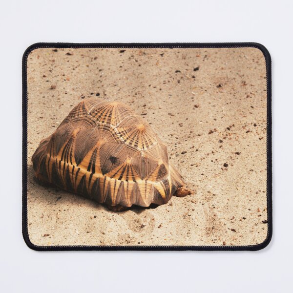Item preview, Turtle designed and sold by tonimata.