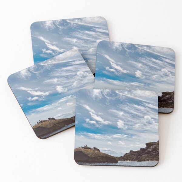 Item preview, Cormorant Colony of the Cornish Coast - Menawethen, Isles of Scilly designed and sold by Oh Halo Berry.