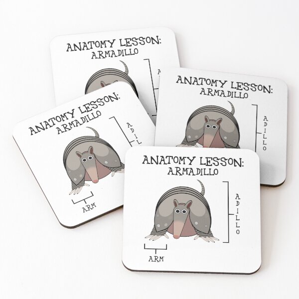 Item preview, Anatomy lesson: Armadillo [Create a set!] designed and sold by SolidEarthArt.