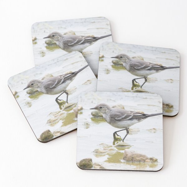 Item preview, Pied Wagtail designed and sold by LaurenTucker.