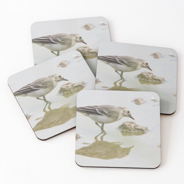 Item preview, Pied Wagtail designed and sold by LaurenTucker.
