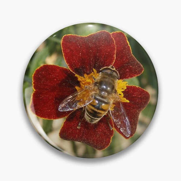 Item preview, busy little bee designed and sold by tonimata.