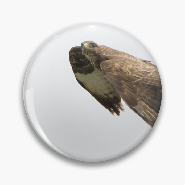 Item preview, Buzzard designed and sold by LaurenTucker.