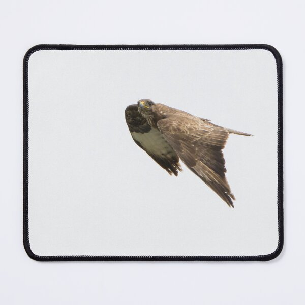 Item preview, Buzzard designed and sold by LaurenTucker.