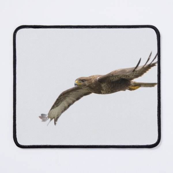 Item preview, Buzzard designed and sold by LaurenTucker.