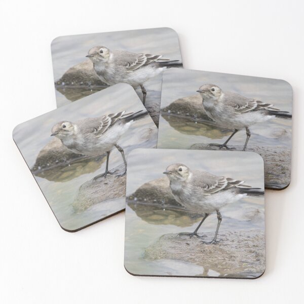 Item preview, Pied Wagtail designed and sold by LaurenTucker.