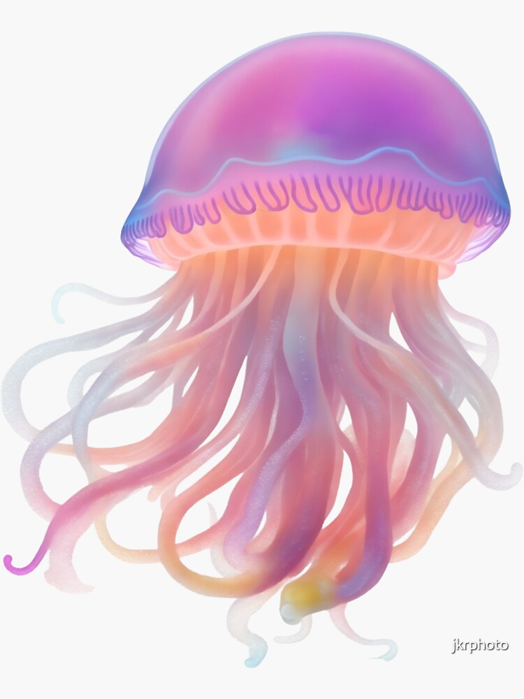 rainbow jellyfish in the blue sea