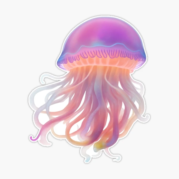 h*i様 iroca ミズクラゲ jellyfish rainbow リバーシブ st,extra_large,507x507-pad,