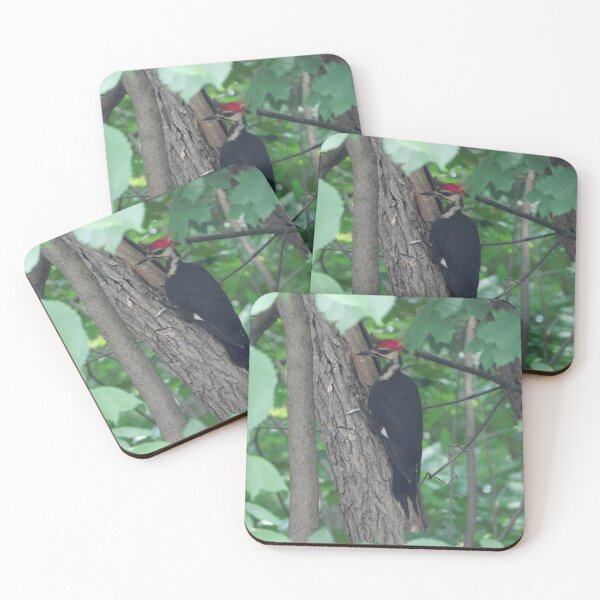 Item preview, The pileated woodpecker designed and sold by Zarabeaver.