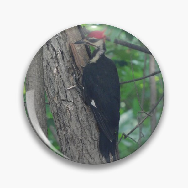 Item preview, The pileated woodpecker designed and sold by Zarabeaver.