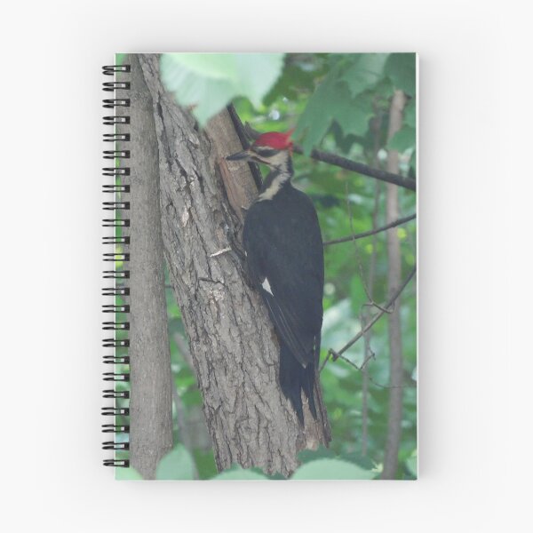 Item preview, The pileated woodpecker designed and sold by Zarabeaver.