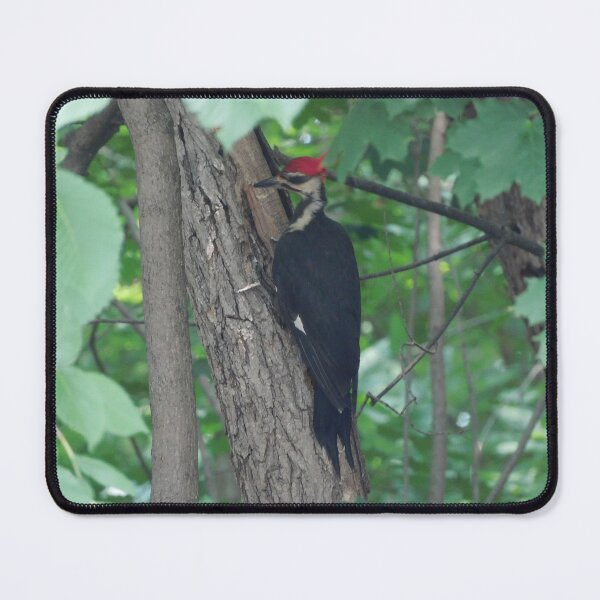 Item preview, The pileated woodpecker designed and sold by Zarabeaver.