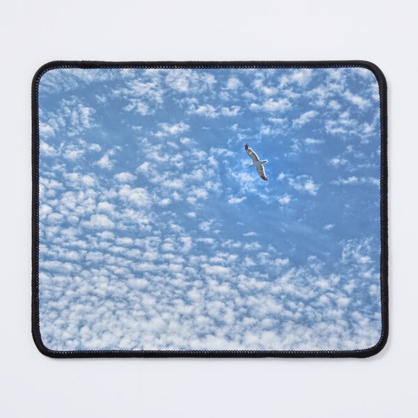 Item preview, Seagull in the Sky designed and sold by bisonte5.