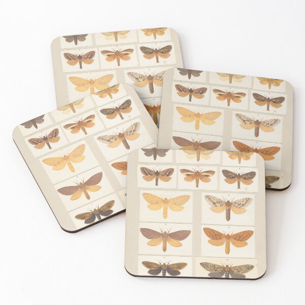 Item preview, Insects Reference Book: Moths designed and sold by lalatrash.