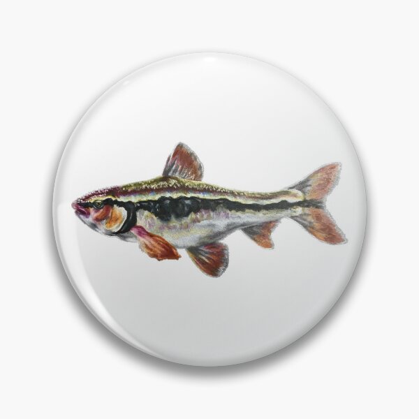 Item preview, Bleeding Shiner designed and sold by Aubree Parkinson.