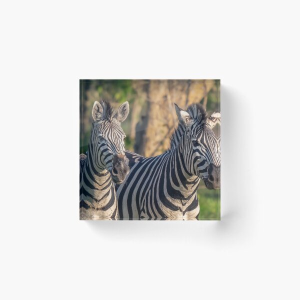 Item preview, Best Friends Botswana Africa designed and sold by PhotoArt by Joan Carroll.