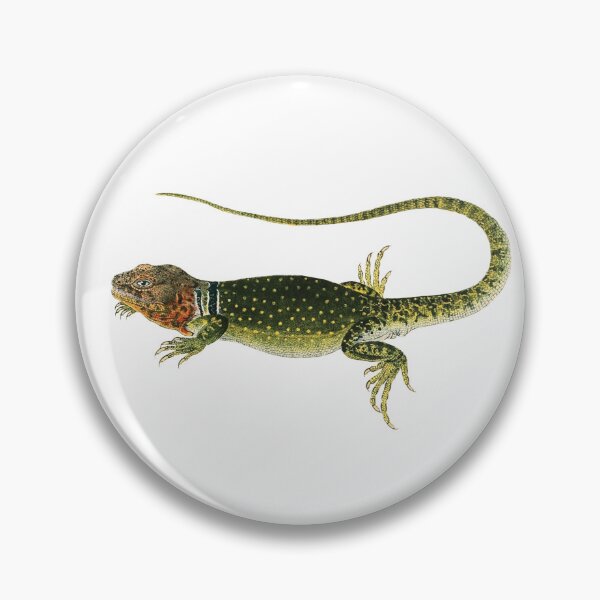 Item preview, Lizard: Crotaphytus Collaris designed and sold by DreamingBeetle.
