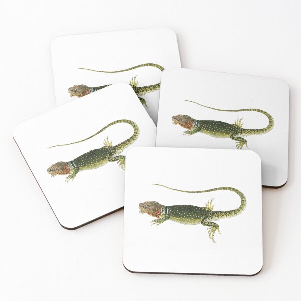 Item preview, Lizard: Crotaphytus Collaris designed and sold by DreamingBeetle.