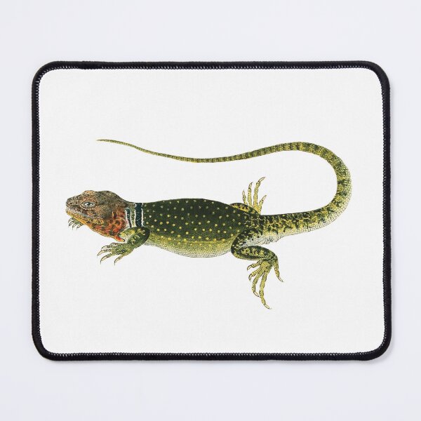 Item preview, Lizard: Crotaphytus Collaris designed and sold by DreamingBeetle.