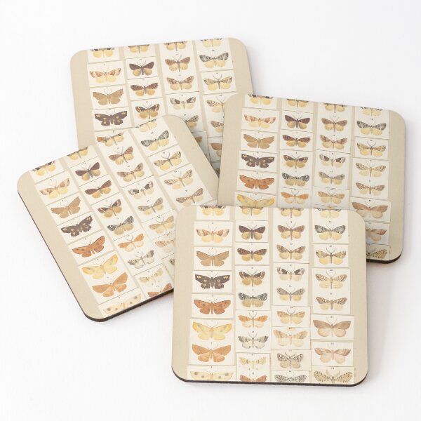 Item preview, Insects Reference Book: Butterfly designed and sold by lalatrash.