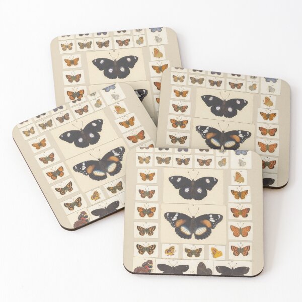Item preview, Insects Reference Book: Butterfly designed and sold by lalatrash.