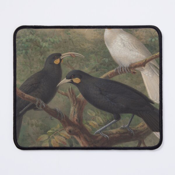 Item preview, Bird Woodcut designed and sold by lalatrash.
