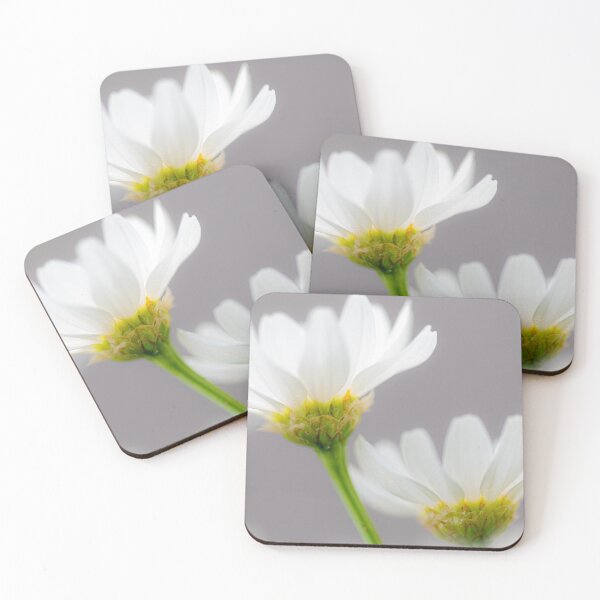 Item preview, Two Marguerites designed and sold by metriognome.