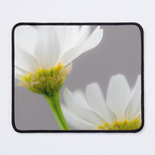 Item preview, Two Marguerites designed and sold by metriognome.