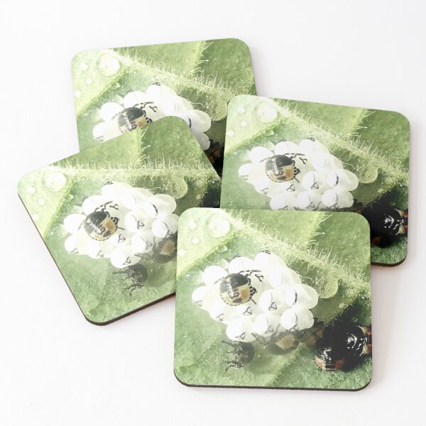 Item preview, Green shieldbug eggs & newly-hatched nymphs designed and sold by angel1.