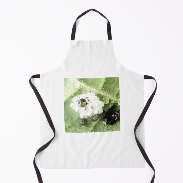 Item preview, Green shieldbug eggs & newly-hatched nymphs designed and sold by angel1.