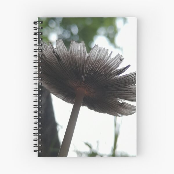 Item preview, Bajo el hongo del jardín designed and sold by WiseFlyDesign.