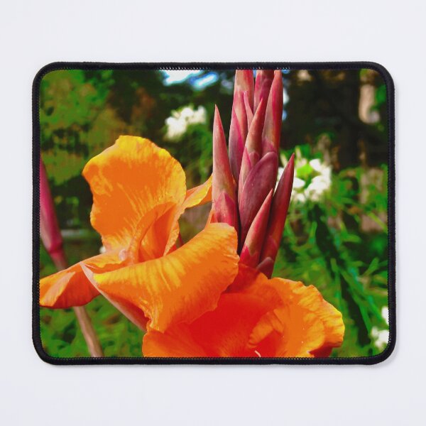 Item preview, Orange Calla Lily designed and sold by Shulie1.